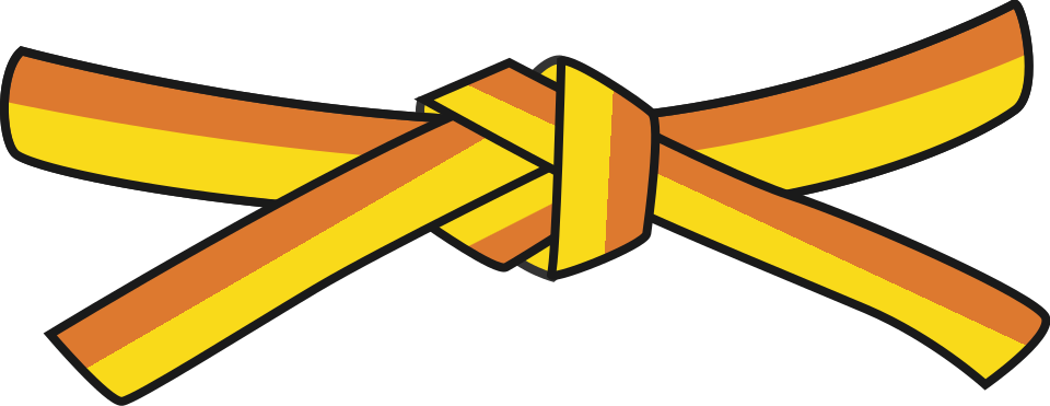 Télécharger Examen Ceinture barrettes oranges enfants